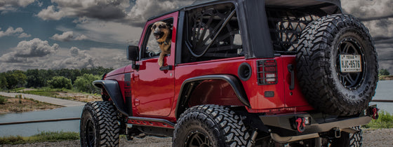 The Black Dog Offroad Story