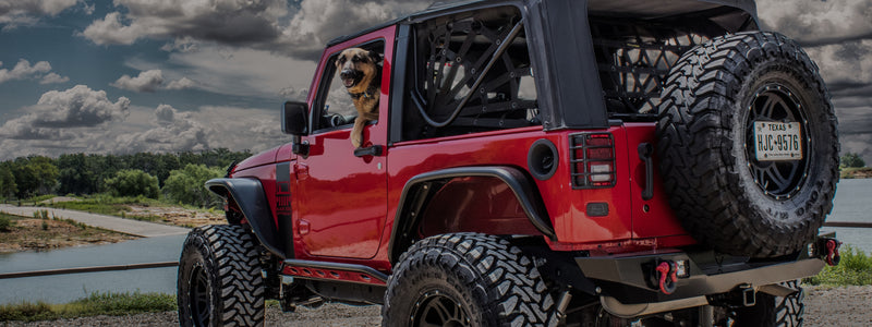 The Black Dog Offroad Story