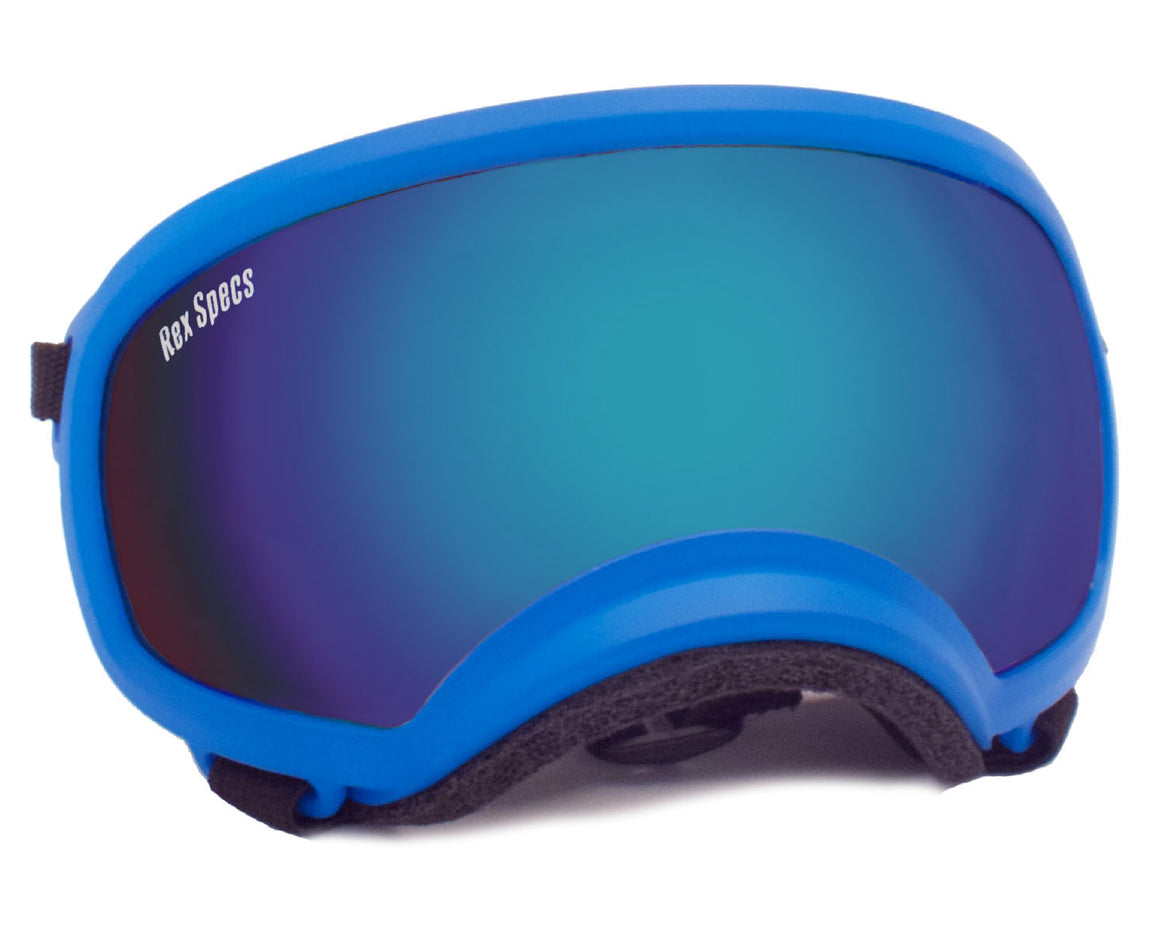 Rex Specs Dog Goggles Medium - Blue - Black Dog Offroad