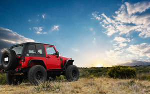 Black Dog Offroad JK 2 Door Hardtop - Black Dog Offroad