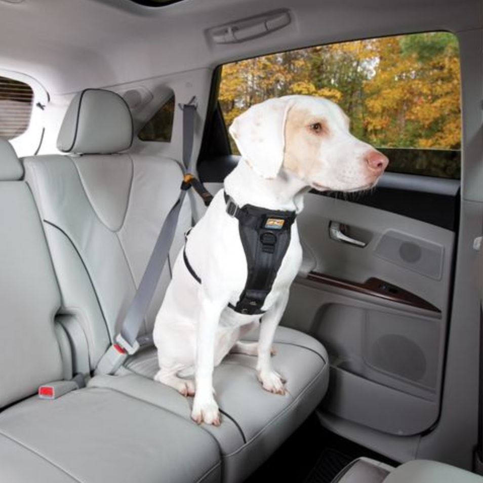  Kurgo Impact Dog Car Harness, Crash Tested Dog Car