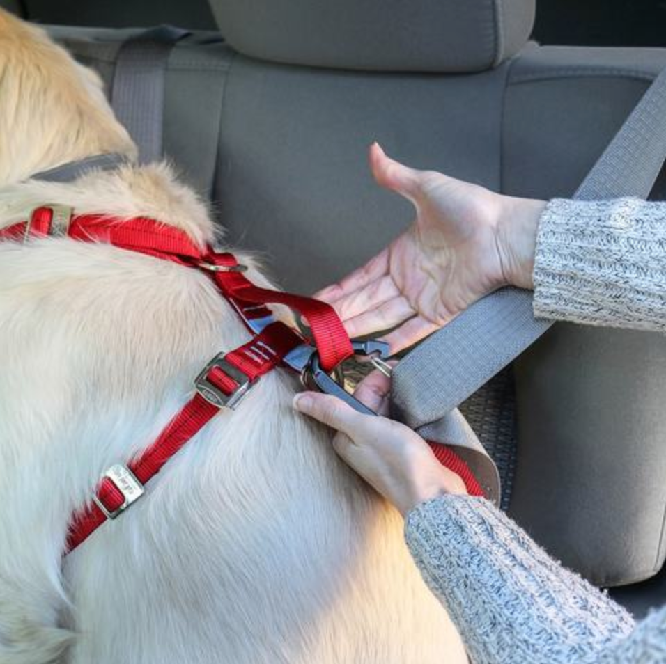  Kurgo Impact Dog Car Harness, Crash Tested Dog Car